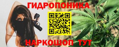 гашик Бузулук