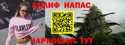 гашик Бузулук