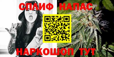 гашик Бузулук